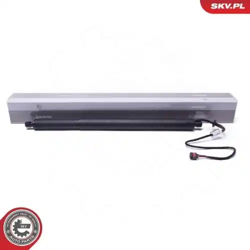 ESEN SKV Elektromotor, Heckklappe Gratis Versand