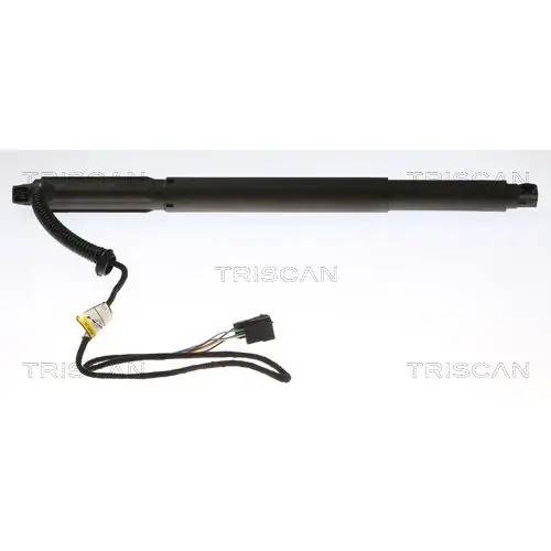 Schneller Versand TRISCAN Gasfeder, Koffer-/Laderaum 8710 11301