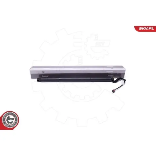 Preisknaller ESEN SKV Elektromotor, Heckklappe