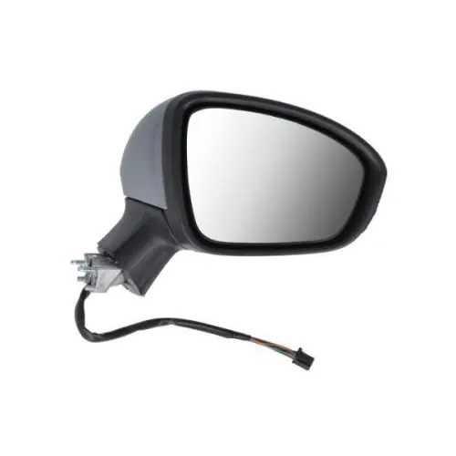 BLIC Außenspiegel 5402-09-2313311P Neue Kollektion